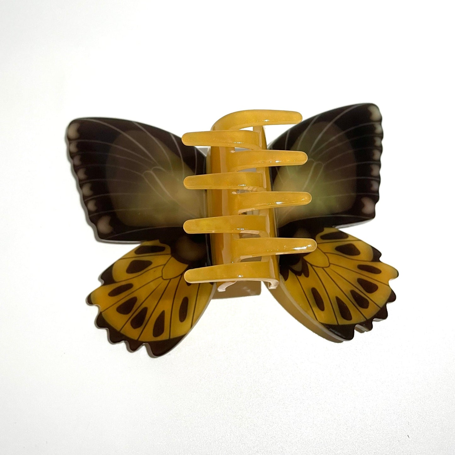 Golden Birdwing claw