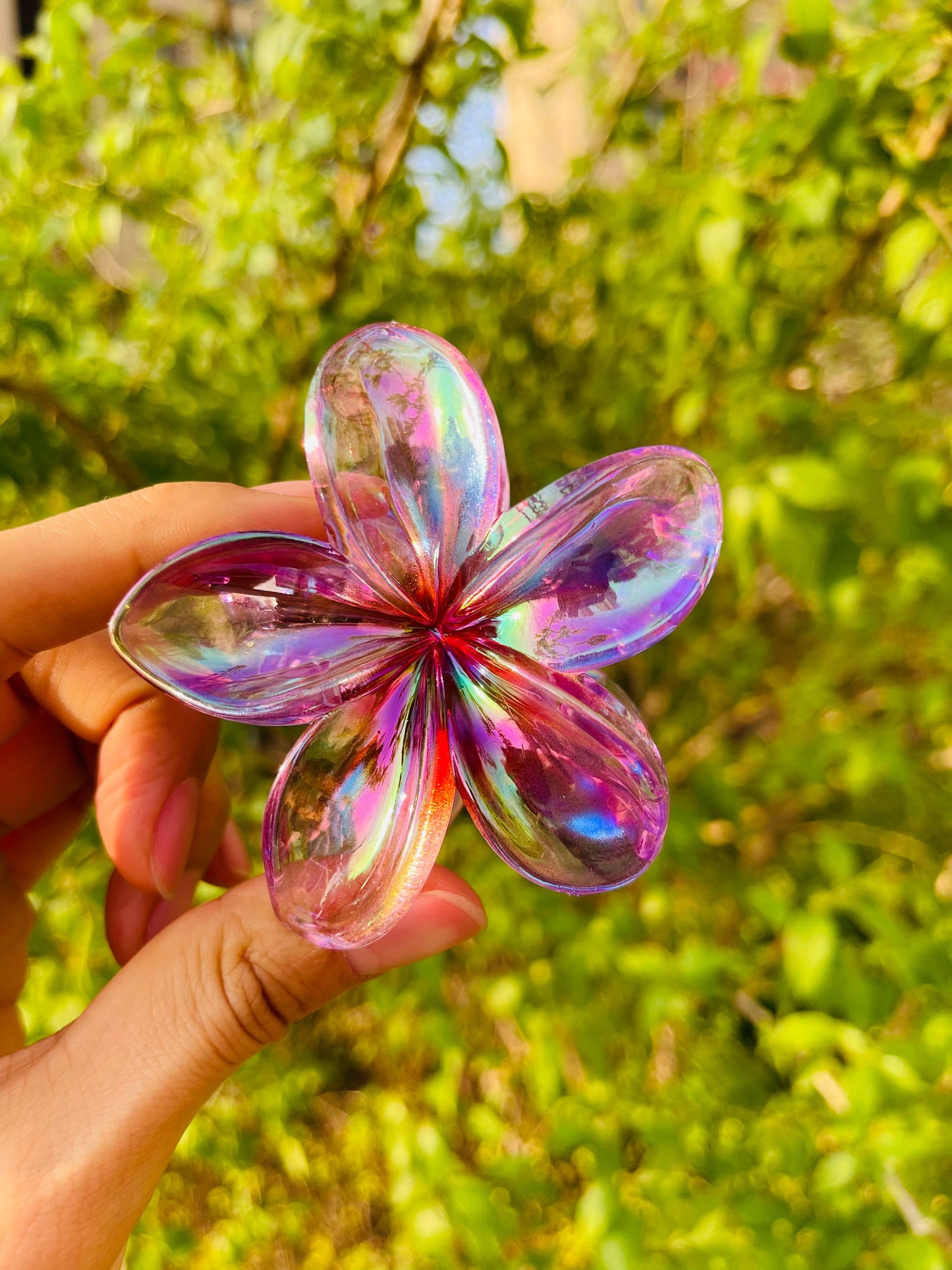 Colorful Plumeria claw within Purple