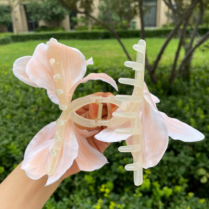 Super Large Lily Claw within Orange