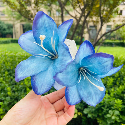 Super Large Lily Claw within sky